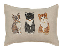 Load image into Gallery viewer, Cute Kittens Pillow
