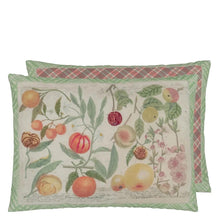 Load image into Gallery viewer, Oranges Canvas Cushion - John Derian
