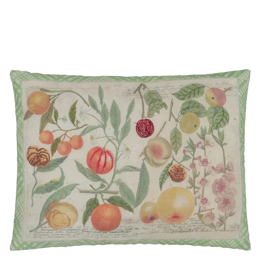 Oranges Canvas Cushion - John Derian