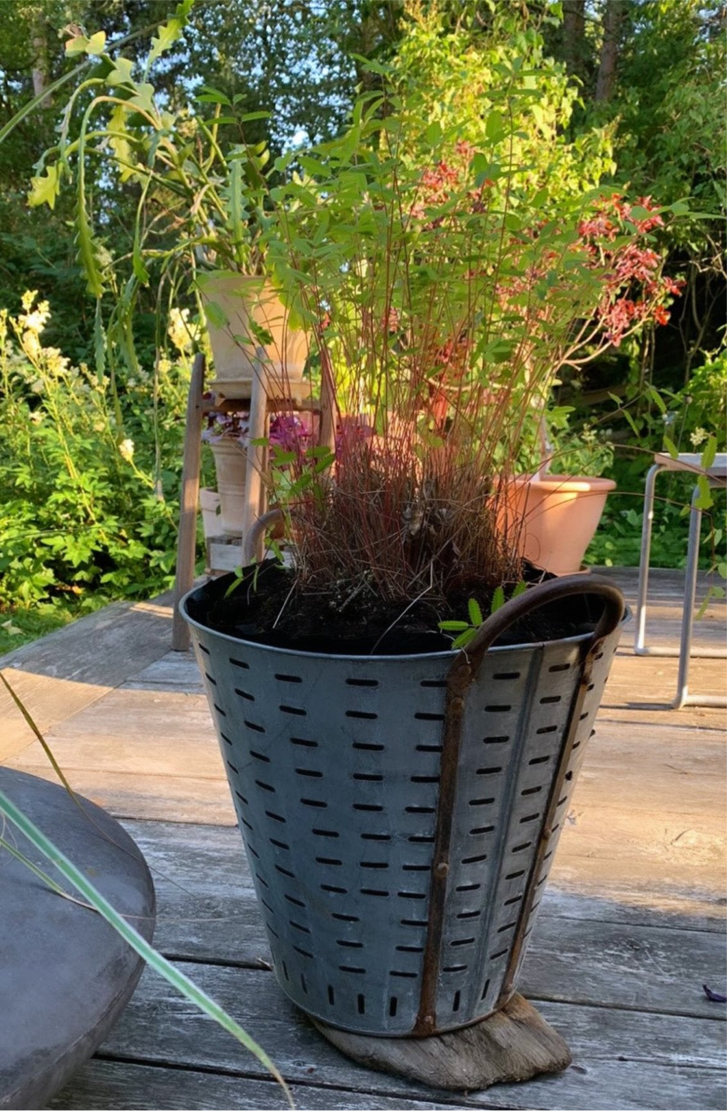 Vintage Olive Basket