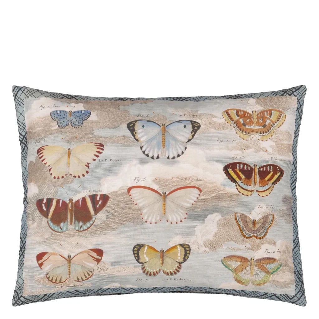 Butterfly Studies - Parchment Cushion - John Derian