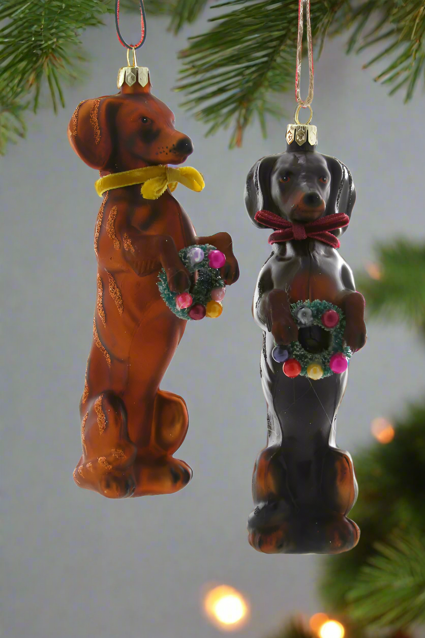 Festive Doxy - Black Dachshund