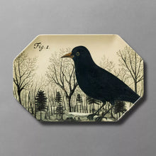 Load image into Gallery viewer, Bird Octagon Serving Platter - John Derian Company
