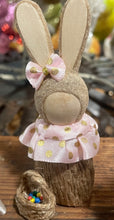 Load image into Gallery viewer, Swedish Bunny in Blush Dress
