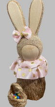 Load image into Gallery viewer, Swedish Bunny in Blush Dress
