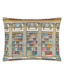 Load image into Gallery viewer, In The Library Sepia Cushion - John Derian
