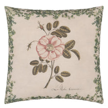 Load image into Gallery viewer, La Rose Cushion - John Derian
