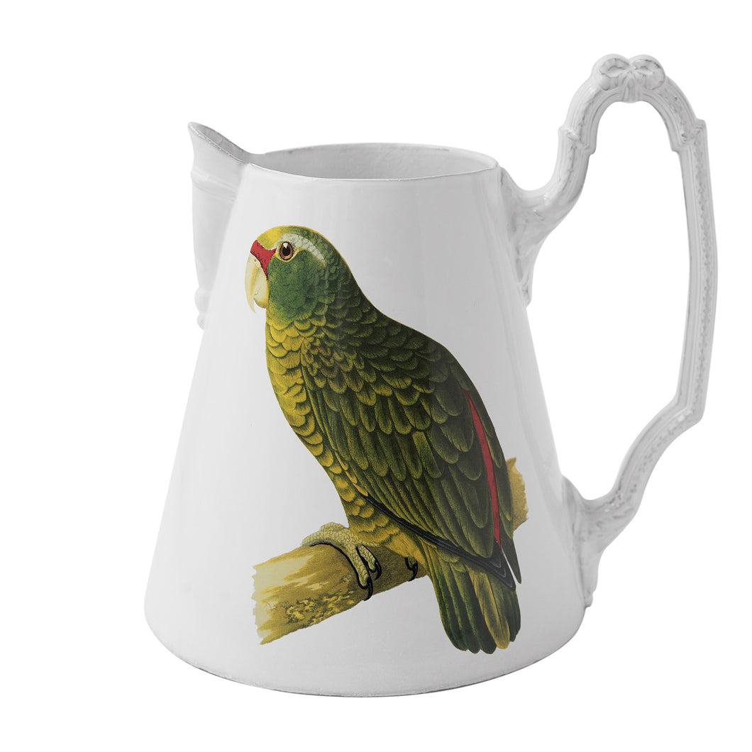 Parrot Pitcher, John Derian - Astier de Villatte