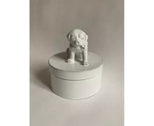 Load image into Gallery viewer, BOîTE DE CHIEN - Bon Ton goods
