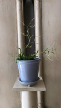 Load image into Gallery viewer, Faaborg Pot Grey - Bon Ton goods
