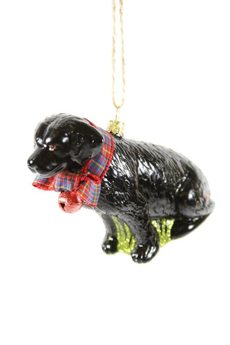 FESTIVE BLACK LAB - Bon Ton goods