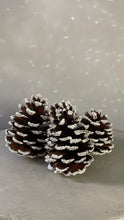 Load image into Gallery viewer, Frosted Glitter Pinecone - Bon Ton goods
