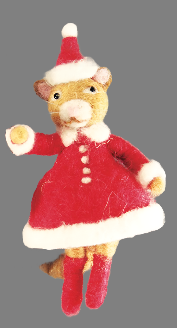 Mrs. Cat Christmas Claus