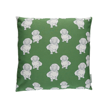 Load image into Gallery viewer, Mix Lauren Cushion (Blue/Green)
