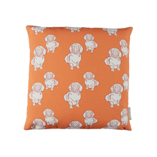 Load image into Gallery viewer, Mix Lauren Cushion (Nude/Orange)
