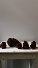 Load image into Gallery viewer, Small Velvet Pinecone - Brown - Bon Ton goods
