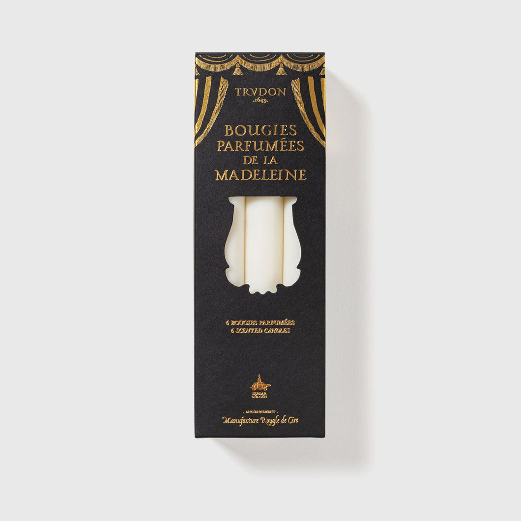 Angelo Scented Madeleines - Tapered Candles