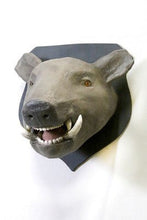 Load image into Gallery viewer, Wild Boar Mount - Bon Ton goods
