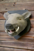 Load image into Gallery viewer, Wild Boar Mount
