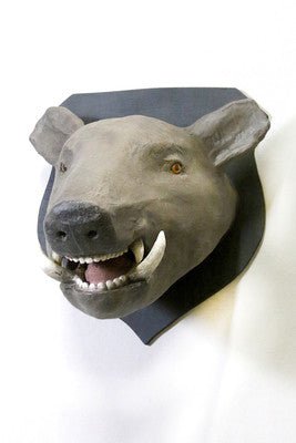 Wild Boar Mount - Bon Ton goods