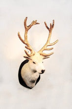 Load image into Gallery viewer, Winter Deer Mount - Bon Ton goods
