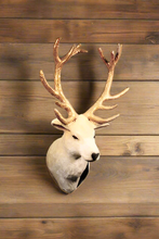 Load image into Gallery viewer, Winter Deer Mount
