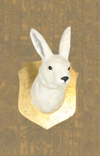 Load image into Gallery viewer, Winter Hare Mount
