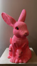 Load image into Gallery viewer, Peachy Pink Glitter, Mother Bunny with Kit - Ino Schaller
