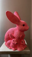 Load image into Gallery viewer, Peachy Pink Glitter, Mother Bunny with Kit - Ino Schaller
