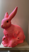 Load image into Gallery viewer, Peachy Pink Glitter, Mother Bunny with Kit - Ino Schaller
